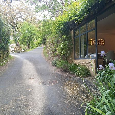 Chambre Du Sabotier - Studio Troglodytique - A 100 M Baignade En Riviere - Location De Canoe - Circuits Cyclo - Aire De Pique-Nique - 3 Restaurants Castelnaud La Chapelle Exteriör bild